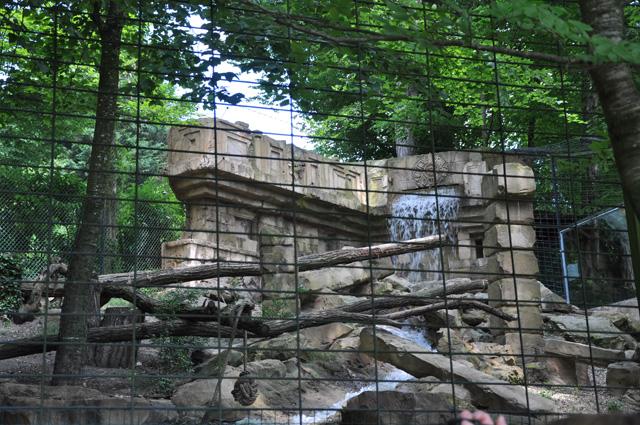 min 2013 07 06 beauval 172